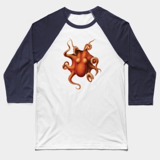 Octopus (Vintage Illustration) Baseball T-Shirt